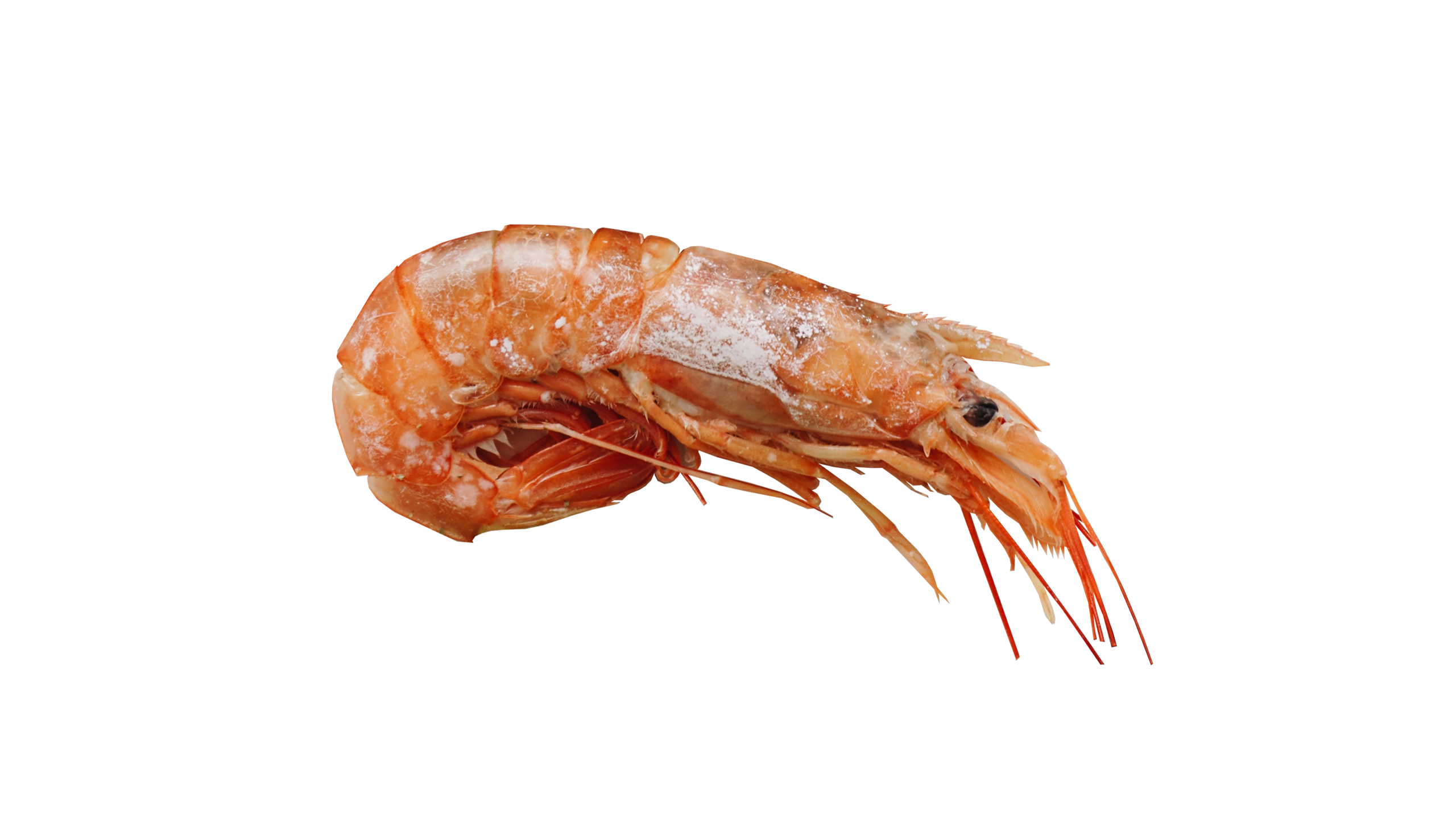 mediterraneo_etterem_panzio_bar_arculat_grafikai_tervezes_rak