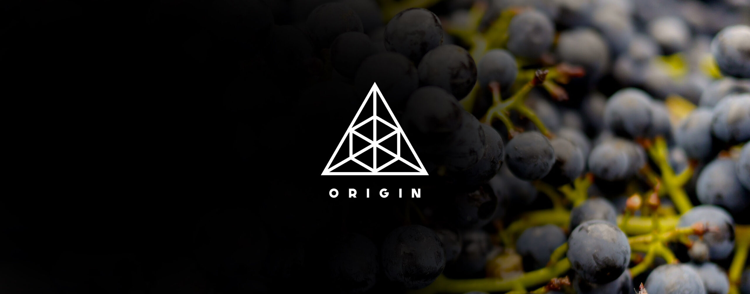 origin_bor_arculat_grafikai_tervezes_banner