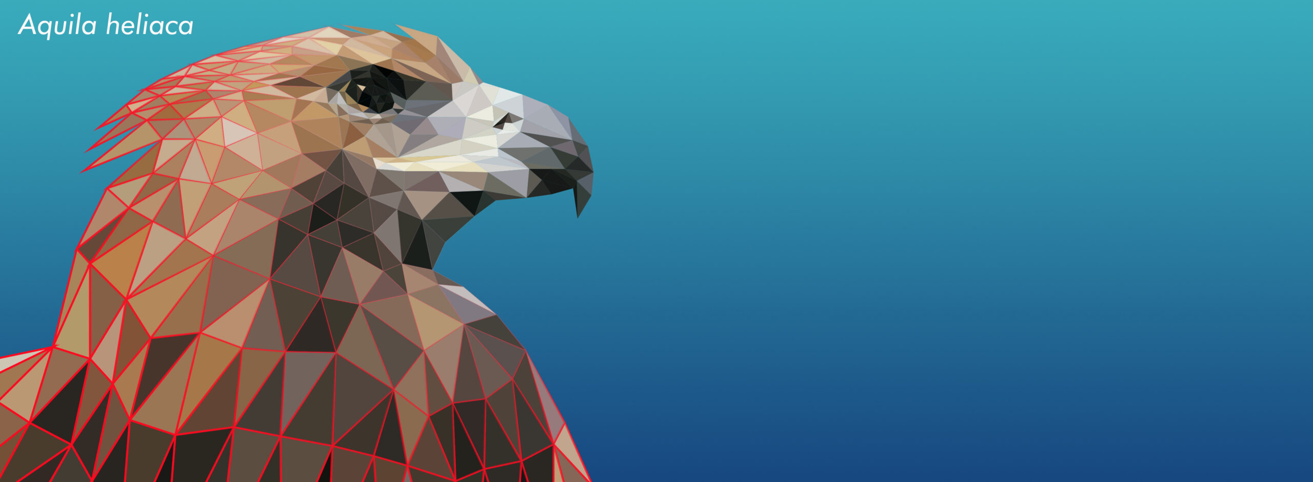 vector
