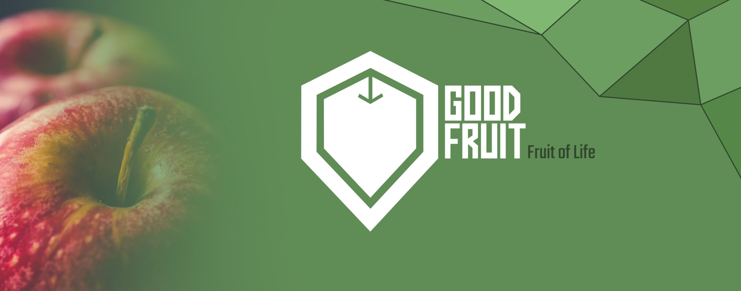 good_fruit_gyumolcs_ital_udito_grafikai_tervezes_alma_3d good_fruit_gyumolcs_ital_udito_grafikai_tervezes_alma_3d